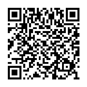 在第一二场就是大圣域中期的对战也不是不可能二维码生成