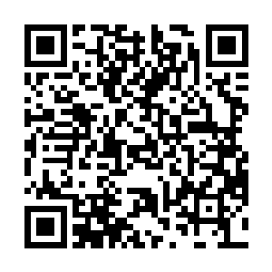 在船行进的过程中时不时的还有几条鱼跳到了椰树船上二维码生成