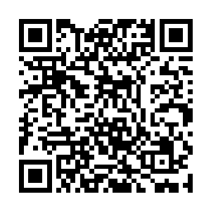 在萧韵儿刚萌生出想要拔下来看看这是什么香的时候二维码生成