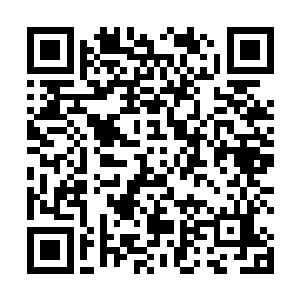 在萨尔维这个明察秋毫的挑剔导演指导下进行拍摄――二维码生成