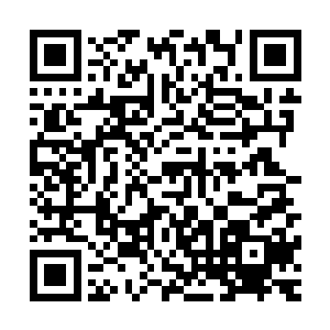 在虎禅真人身后的洛离没有发现虎禅真人使用任何的法术法诀二维码生成