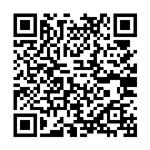 在血妖姬们安静的在神魂共享中用神魂交流的时候二维码生成