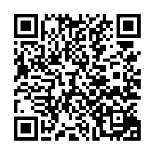 在让战斗变得激烈的同时也彻底点燃了整个云端高台的气氛二维码生成