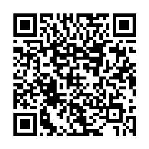 在这一块我们将收取一定的服务器租借跟维护费用二维码生成