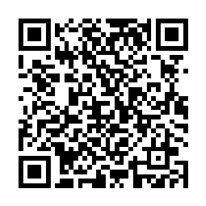 在这个基础上发展竹木产品的深加工是一个很好的选择二维码生成