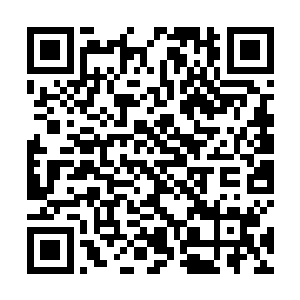 在这个时空已经随着罗楼吞下了生命之精而彻底扭转了二维码生成