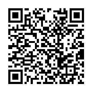 在这个空间内感觉就是根本无法杀光这些鳄鱼怪物二维码生成