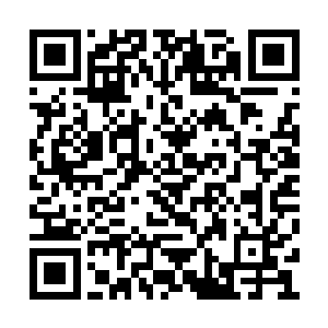 在这场天启组织和方舟基金会惊心动魄的暗战中二维码生成