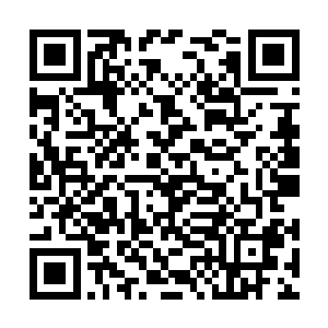 在这样下去恐怕不出三招这霍文锐就要被人玩死了二维码生成