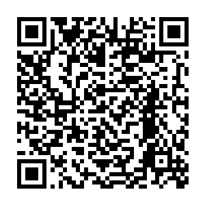在这片大陆上的每位狼人公爵都会明里暗里宣称自己就是那个黑暗之子二维码生成