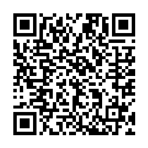 在这种情况下将一名格斗系玩家一击必杀的可能性很小二维码生成