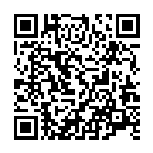 在进入到了这重力倍率达到三千倍的方圆十余里内的区域后二维码生成