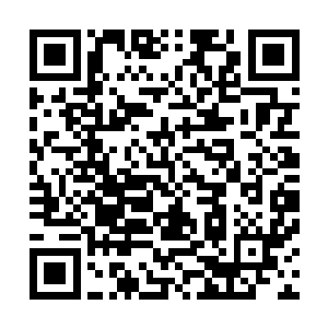 在远处看着的各个年轻人的长辈此刻也都是满意的不停点头二维码生成