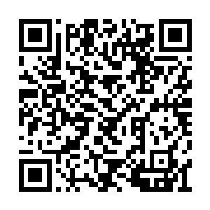 在那个表格自己的学号的后面签上了自己的名字二维码生成