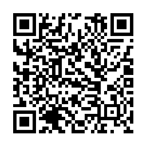 在陌星子的庇护下弄在陌蕴城混口饭吃的地儿罢了二维码生成