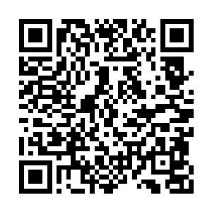 在龙傲天的清洗下基本上没有几个人能够活下来二维码生成