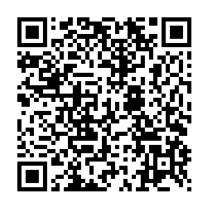 在龙海市纪委书记戴宝楠和副市长张兴勇向市委书记周天鸿低头后二维码生成