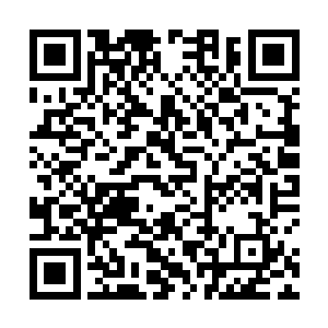 地一声整个人被狠狠地被无形的力量给按压在了墙壁上二维码生成