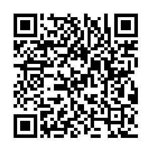 地上那些本来断裂的藤蔓也瞬间活了过来变成利剑二维码生成