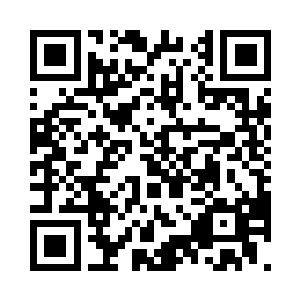 地下拳坛才成了全市最火爆的娱乐场所二维码生成