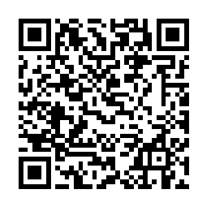 地元族则是喜欢披着土黄色铠甲……假如遇上这些种族之人二维码生成