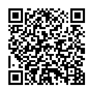 地图战场上刚刚才有些停止苗头的战斗又再次白热化起来二维码生成