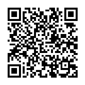 地方上来自中央的转移支付只能用来发工资保基本运转二维码生成