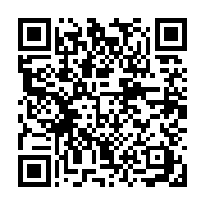 地球上的大部分国家都不愿意臣服我们骷髅海盗团二维码生成