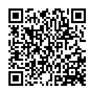 地藏王从中取出了一片片刻着字的竹简在桌面上一字排开二维码生成