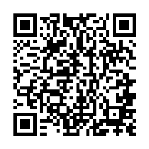 地蛮甲虫等等几十只神兽出动加入到巨神族的挖掘行动二维码生成