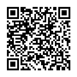 地阶中品功法和十足丹绝对可以引起无数人的疯狂二维码生成