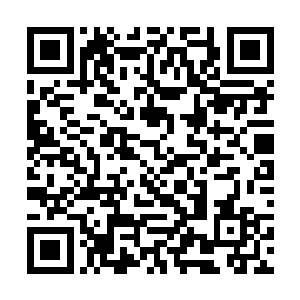 地面上抽搐的白银鉄蚁一只一只全部被扎成了马蜂窝二维码生成