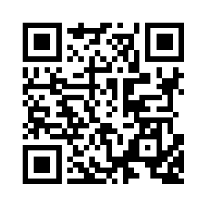 坐在会议室正中的陈局长一听二维码生成