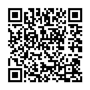 坐在会议桌主位的当代斯宾塞家族的掌舵者帝林二维码生成