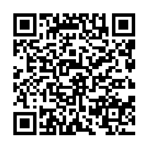 坐在大虎鲸背上的劳伦还以为小虎鲸是来迎接自己的的呢二维码生成