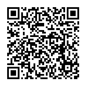 坐在我大殿上考虑接下来怎么办的我们得到了外面守门弟子的通知二维码生成