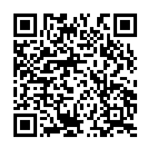 坐在我对面的三妹儿则直接用眼尾扫了女孩子一眼二维码生成