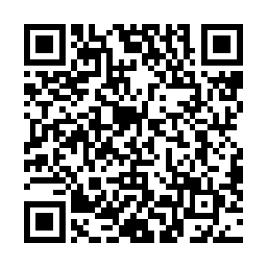 坐在我旁边的雪倾城也忍不住露出了一抹不易察觉的微笑二维码生成