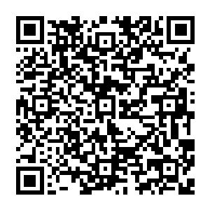 坐在榻榻米上研究那方形盒子到底是何种材质竟是可以完全掩盖了盒内圆球的异状二维码生成
