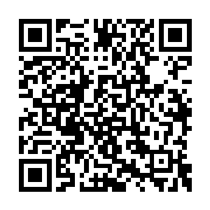 埃尔顿不想因为自己的罪行而牵连到自己的家族二维码生成