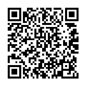 基本上只要能赶得来的人都不会错过了这个盛会二维码生成