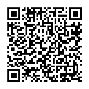 基本上已经确定了这里就是他手上那一份地图上标识出来的地宫出口了二维码生成