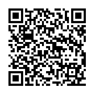 基本上每一个项目都是在一定的政治气候和经济需求下推动而成二维码生成