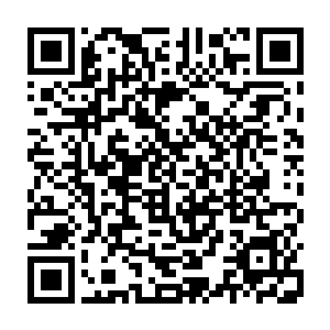 基本上等真正开始比赛了之后也就那么回事――无非就是歌手一个一个上台表演二维码生成