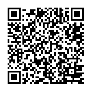 基本可以确定奠寉王和萨摩迪尔联手的实力能碾压醉卧和悟死二人二维码生成