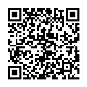 基本预定了这个暑期档乃至整个年度的北美票房冠军二维码生成