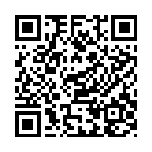 堂堂妖人第一宗族变成大猫小猫两三只二维码生成