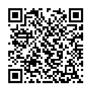 塔塔林仍然可以看到身后不断对他们摆手的机器人二维码生成