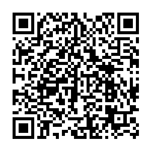 墨伊宸原本有些烦躁的情绪在看见夏天萌微笑的瞬间竟觉得放松了不少二维码生成