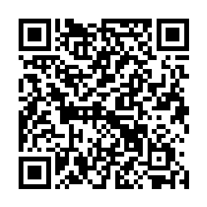 墨便是像是一个小孩子一般的飞快的向着豪华电梯那边跑去二维码生成